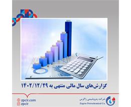 گزارش‌های سال مالی منتهی به 1402/12/29