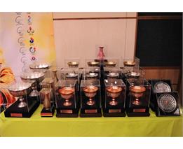 آتش نشانان پتروشیمی زاگرس، قهرمان المپیاد علمی آتش نشانان صنایع پتروشیمی کشور